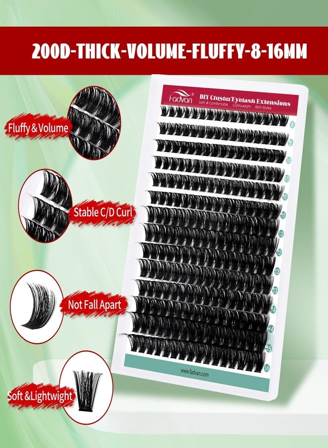 FADVAN D-Curl Volume Lash Clusters, 224pcs 100D Individual Eyelash Extensions 8-16mm, DIY Cluster Lashes Kit for Beginners, Reusable - Image 2